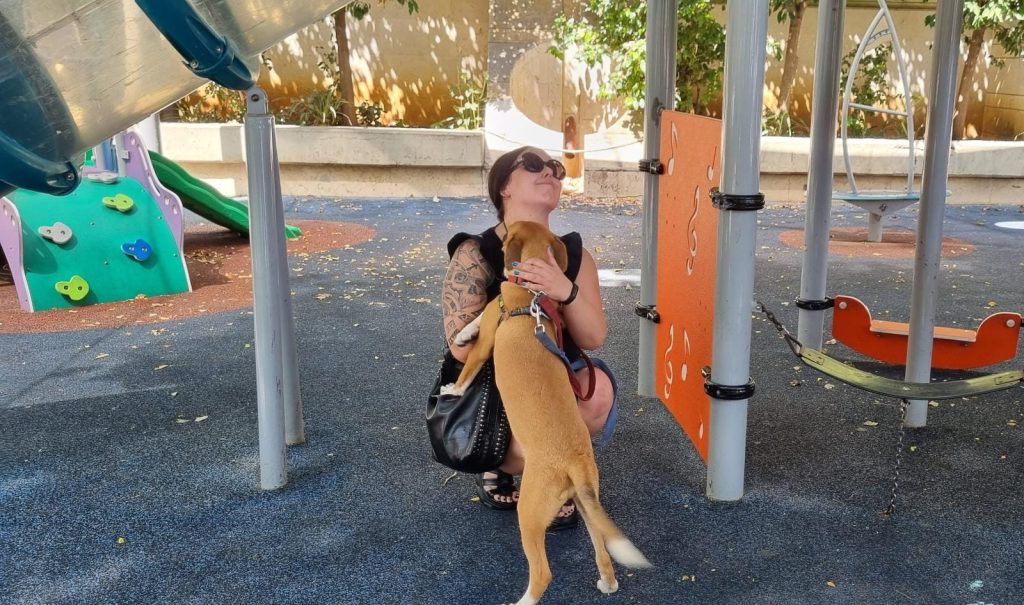 תרומה לקהילה תמונה 3 מתוך 9